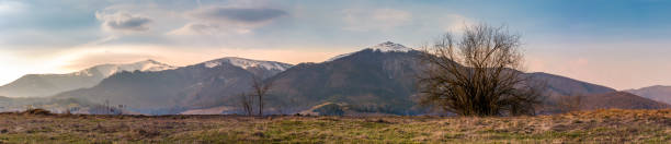 istock panorama of the Borzhava mountain ridge 902987420