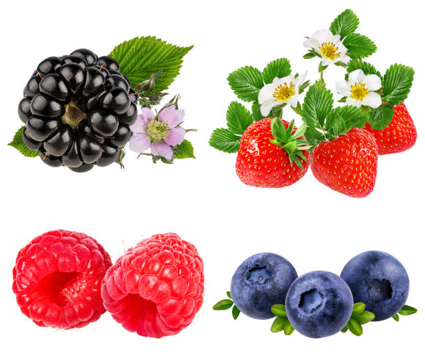 istock collection of fresh berries isolated on white 902988510