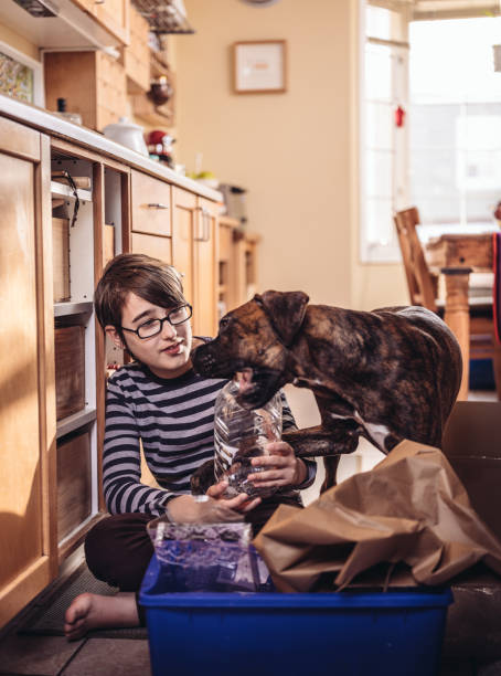 istock Recycling in Daily Life 902994842