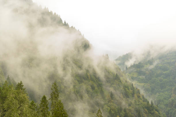 istock Huge fog on mountain 902994894