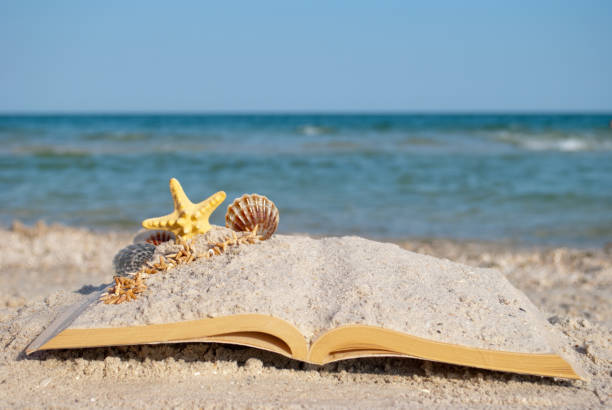 istock open book sand seashells sea star beach sea shore blue sky white wave summer weekend vacation 902994998