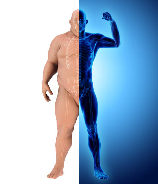 3d иллюстрация до и после преобразования жира тела в фитнес-тела, здравоохранения упражнения. - overweight dieting men unhealthy eating стоковые фото и изображения