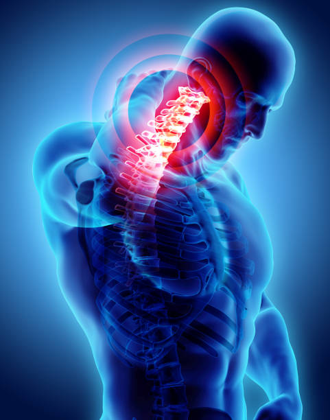 istock Neck painful - cervical spine skeleton x-ray, 3D illustration. 902999370