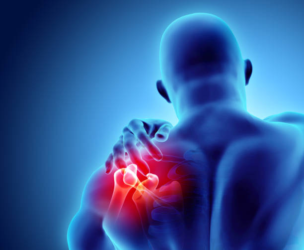 istock Shoulder painful skeleton x-ray, 3D illustration. 902999994