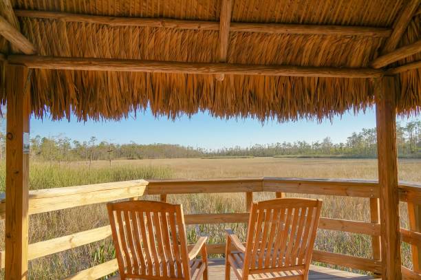 istock tiki hut and chairs in swamp 903007162