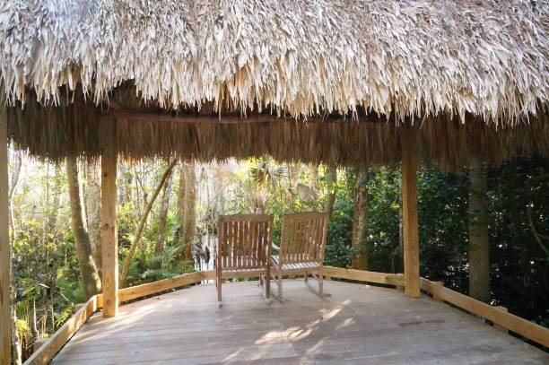 istock tiki hut and chairs in swamp 903007534
