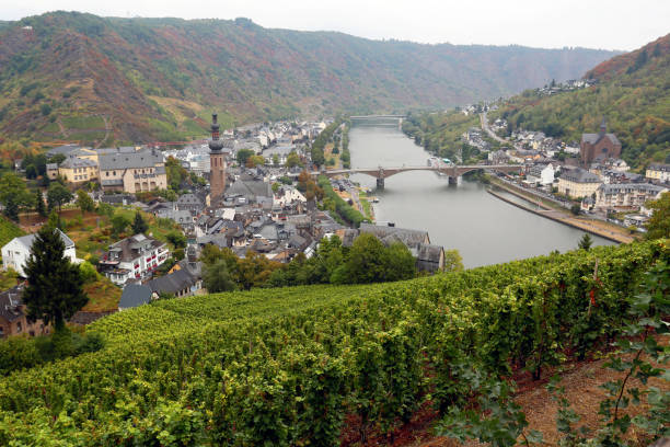 istock In the valley of the Moselle 903010854