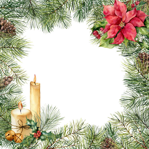ポインセチアやキャンドルでクリスマスの水彩の花フレーム。手塗られたクリスマス ツリー ブランチ、円錐形の松、ポインセチア、ヒイラギ、ヤドリギ、バリー ホワイト バック グラウンドに分離します。休日の境界線。 - pine tree pine cone branch isolated点のイラスト素材／クリップアート素材／マンガ素材／アイコン素材