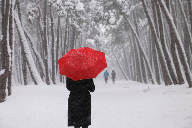 istock Women with an umbrella 903012110