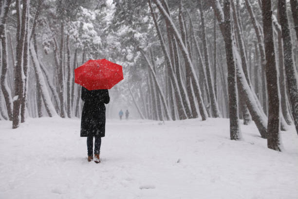 우산으로 여자 - winter women zen like photography 뉴스 사진 이미지