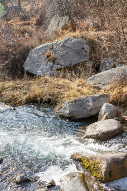 istock large stones on the river bank 903012644