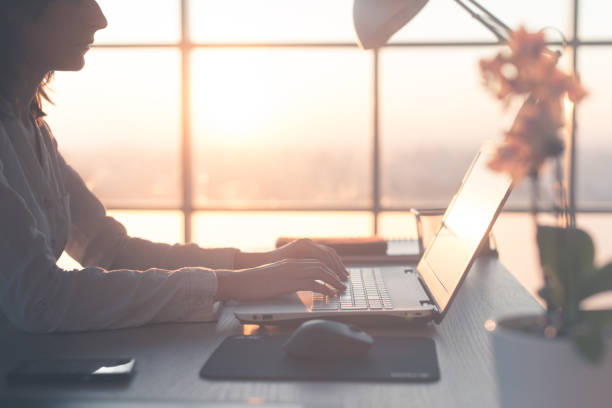 istock Adult businesswoman working at home using computer, studying business ideas on a pc screen 903018960