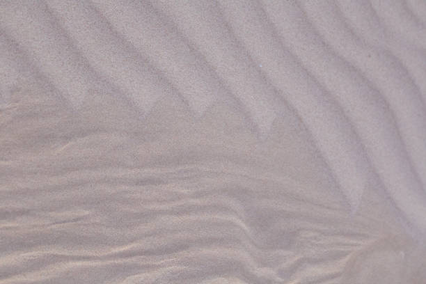 istock A beautiful pattern of white sand on a beach of Baltic Sea. 903019154