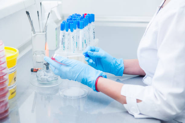 istock Female medical or scientific laboratory researcher performs tests. Close up, selective focus 903028288