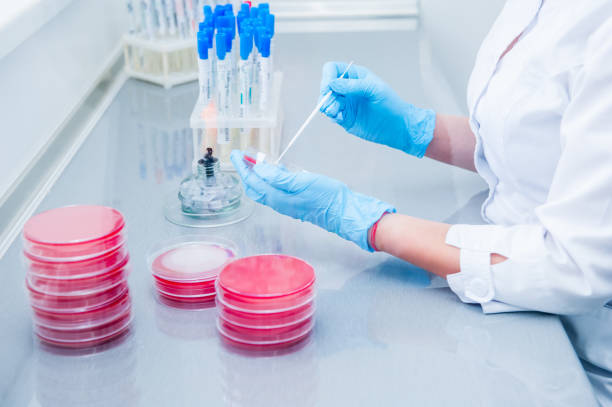 istock Female medical or scientific laboratory researcher performs tests. Close up, selective focus 903029600