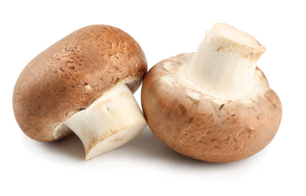 istock Fresh champignon mushrooms isolated on white background 903031796