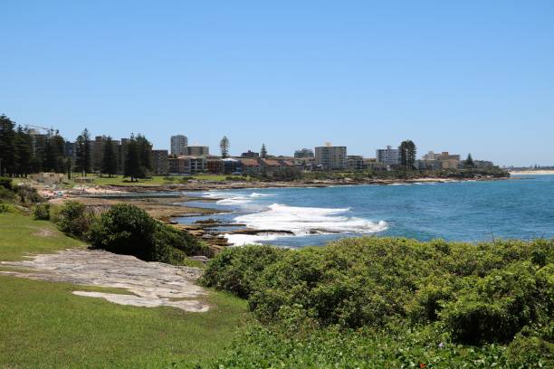 istock Holidays at Cronulla Beach Sydney, Australia 903036096