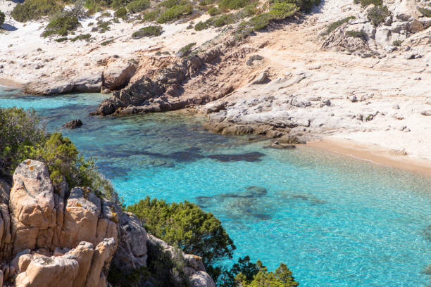 istock Cala Corsara Beach, Sardinia island, Italy 903037288