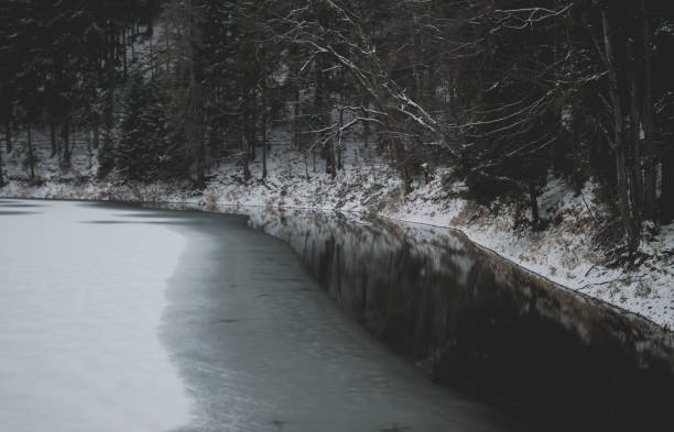 winter Havel river landscape with alder tree ice and snow (Brandenburg, Germany)