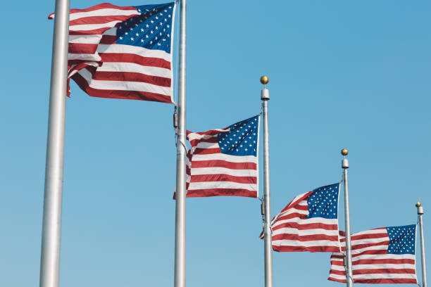 istock Low Angle View Of American Flags Fluttering Against Clear Blue Sky 903043692