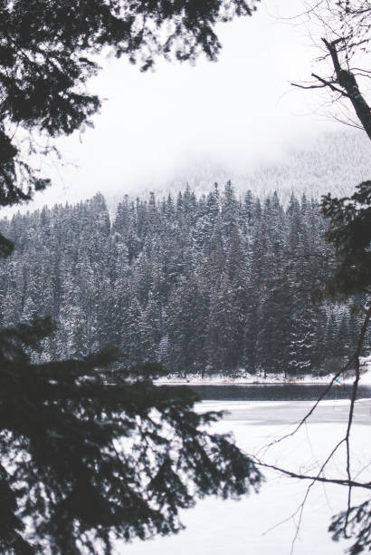 istock Beautiful mountain lake Synevyr in Ukraine. 903044514