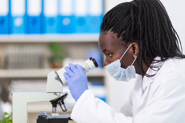 Female laboratory worker using microscope Side view of african laboratory worker using microscope. ebola stock pictures, royalty-free photos & images