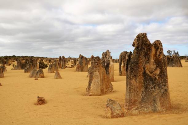 istock Limestone formation at Pinnacles Desert in Western Australia 903053698