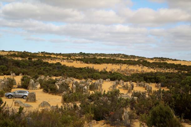 istock The Pinnacles View in Western Australia 903053934