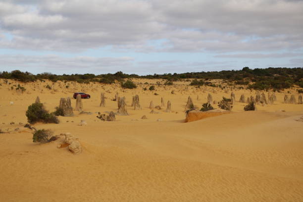 istock The Pinnacles Desert in Western Australia 903054066