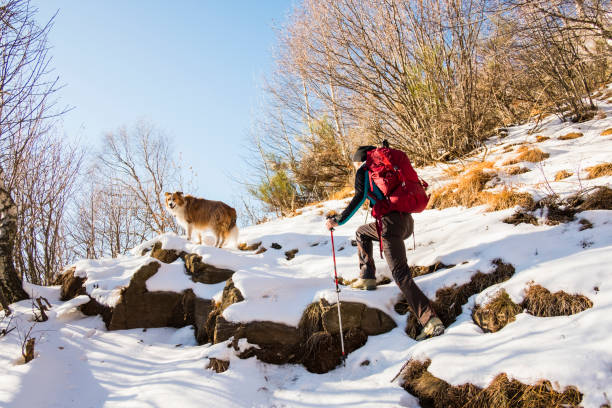 escursionista donna con cane si arrampica attraverso montagne di foresta innevata - snowshoeing hiking mountain winter foto e immagini stock