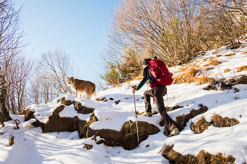 Hiker woman with dog climbs through snowy forest mountains