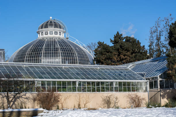 istock Allan Gardens Horticulture Building 903057570
