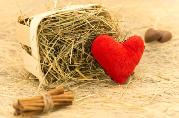 Manger Jesus and the heart of love abstract christmas symbol closeup
