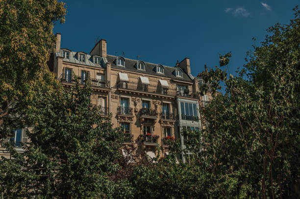 istock Building amidst trees and sunny blue sky with typical architecture of Paris. 903069284