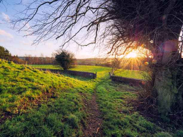 istock winter countryside morning,Northern Ireland 903080496