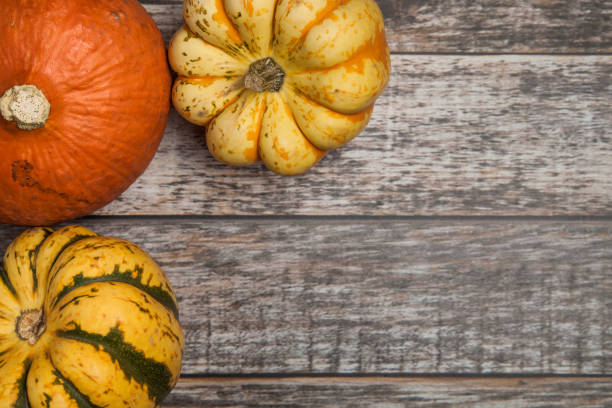 istock Top view of 3 various squash varieties on a wooden table 903080814