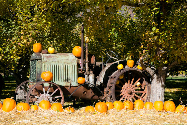istock Farm Equipment Keremeos Orchard 903081594