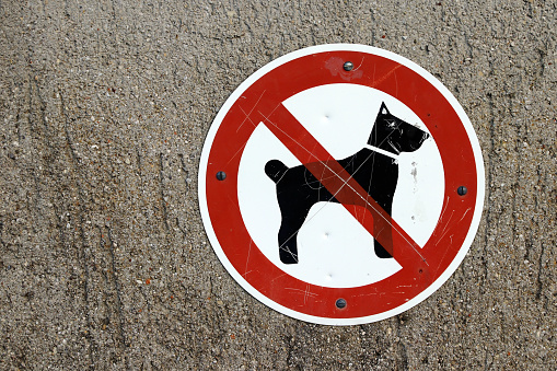 Shield dogs forbidden! Prohibition sign dogs!