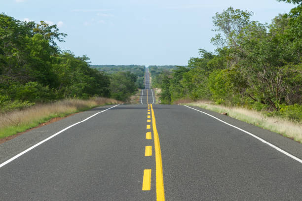 Road in Piaui, Brazil