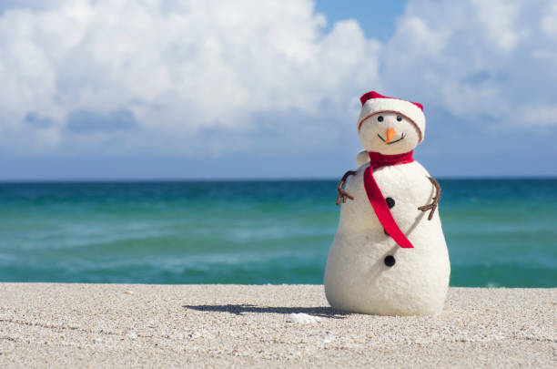 istock Merry Christmas from a snowman 903092854