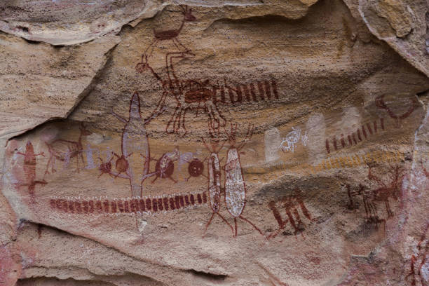istock Prehistoric painting in Serra da Capivara Piaui 903092940