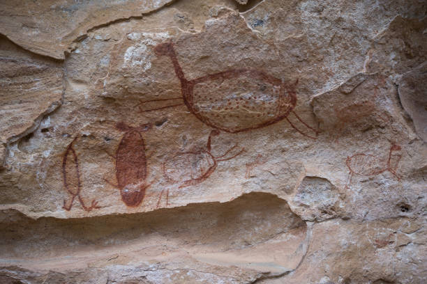 istock Prehistoric painting in Serra da Capivara Piaui 903092948