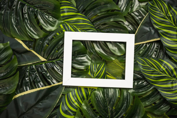 istock White photo frame over palm leaves, design mock up 903096268