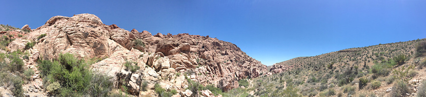 Panoramic photo with scenes of Joshuatree National Park