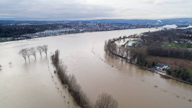 istock Flooded area, Rhine and Main River, Germany 903099772