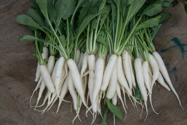 Fresh vegetable for sale on market in India stock photo