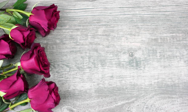 istock Mother's Day Pink Roses Over Wooden Background 903104148