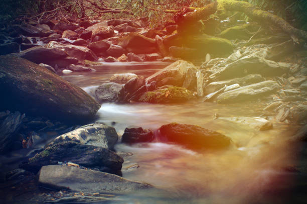 istock Bright Colorful Sunlight Rays over a River Stream in the Deep Smoky Mountains Forest 903105298