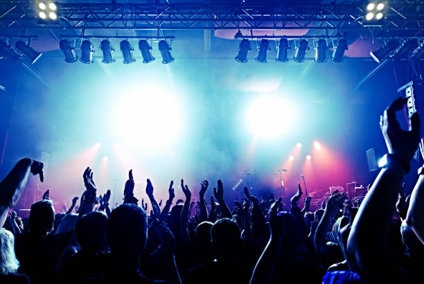 istock Crowd At Music Concert 903116694