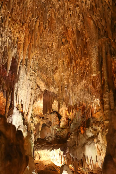 istock Formations in Damlatas Cave, Alanya, Antalya, Turkey 903120176
